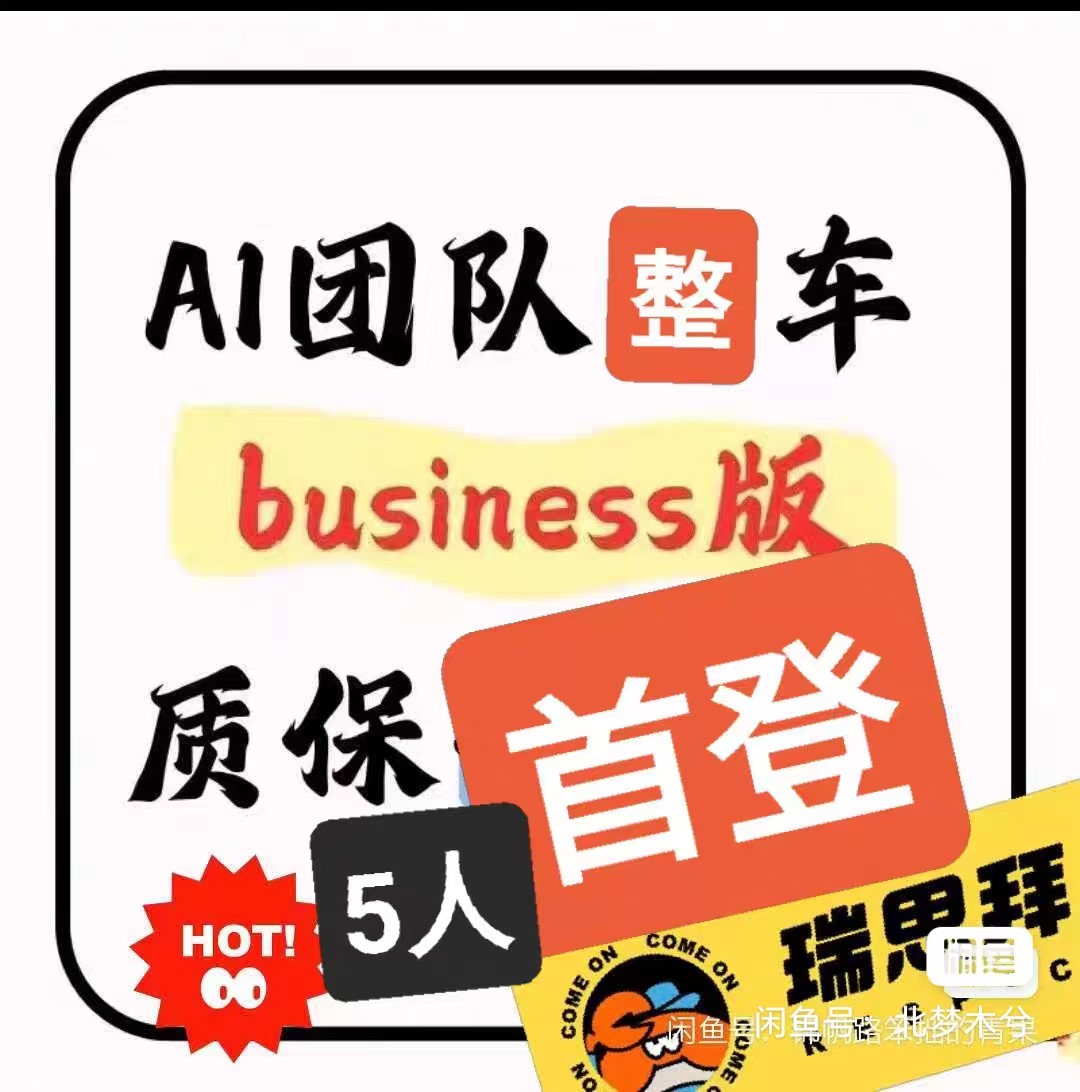 ChatGPT Team独享账号 - 质保20天