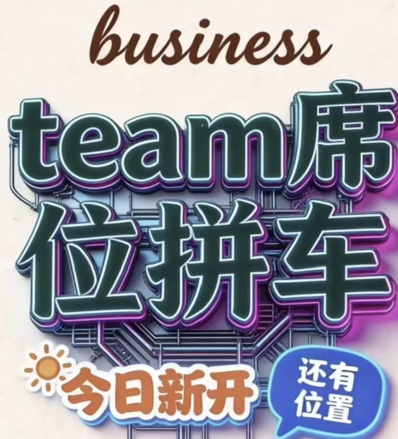 codex/GPT Team拼车 - 质保25天